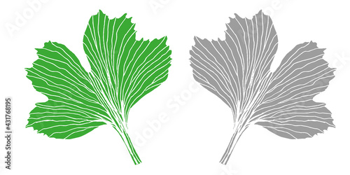 Botanical print pattern ginkgo leaf green and gray