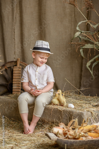 cute little boy in the hayloft with ducklings and hat