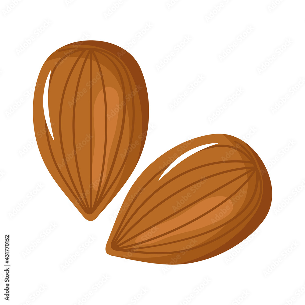 almonds seeds icons almonds seeds icons
