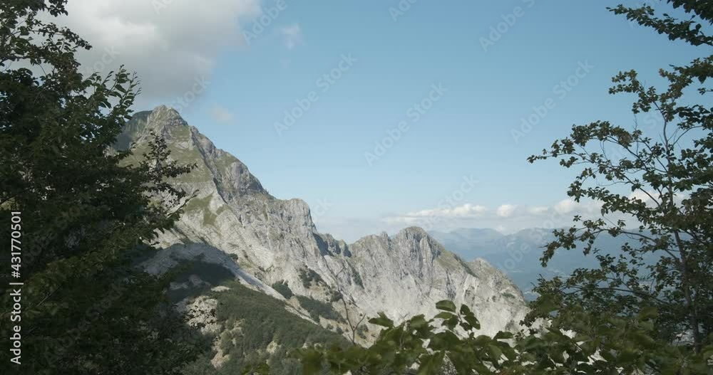 Mountains of the Apuan Alps between Monte Pisanino and Monte Cavallo.The fronds of the green trees contrast with the blue of the sky and the clouds. Alpi Apuane, Garfagnana, Italy. Mountains of the Apuan Alps between Monte Pisanino and Monte Cavallo.The fronds of the green trees contrast with the blue of the sky and the clouds. Alpi Apuane, Garfagnana, Italy.