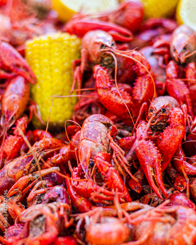 Crawfish Boil
