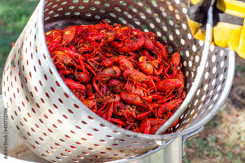 Crawfish boil