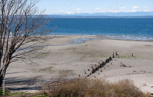 Pacific Northwest beach landscape with no people, rows of pilings on the beach and the Olympic mountains in the background.  Puget Sound in Washington state taken near Everett, WA.
