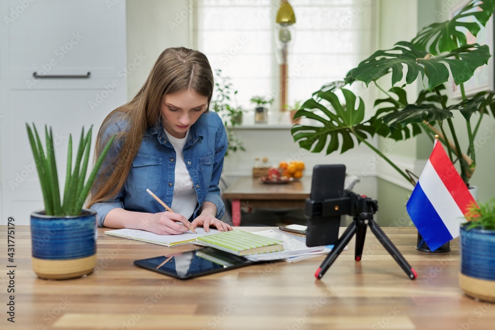 Female student sitting at home studying online, looking at smartphone webcam Female student sitting at home studying online, looking at smartphone webcam