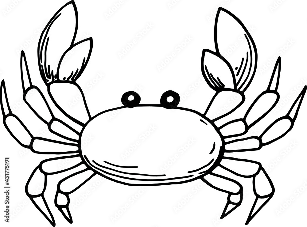 Fototapeta premium Single element of crab in doodle summer set. 