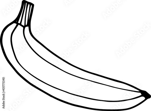 illustration of a banana. Single element of banana in doodle summer set.