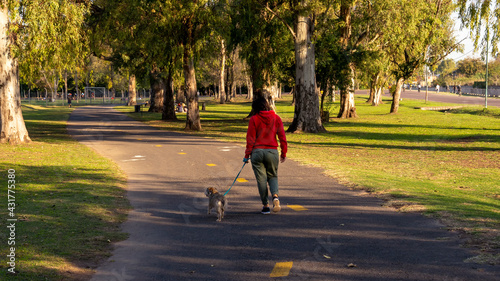 Young woman walking her dog in a green park at sunset