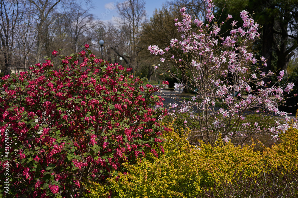 Prague, Czech Republic - April 23, 2021 - spring in the Royal Garden at Prague Castle Prague, Czech Republic - April 23, 2021 - spring in the Royal Garden at Prague Castle