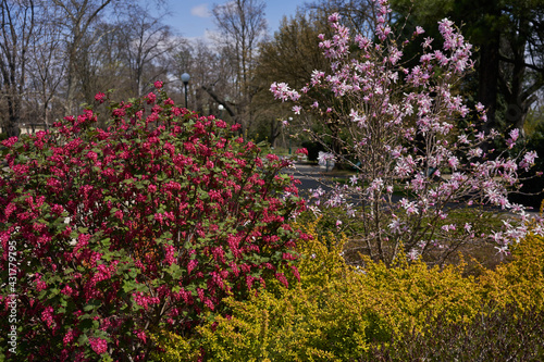 Photography Prague, Czech Republic - April 23, 2021 - spring in the Royal Garden at Prague C