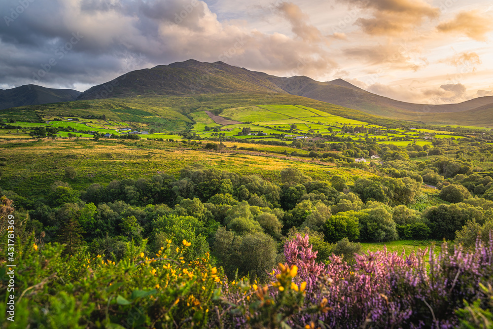 Beautiful sunset with dramatic sky at golden hour over the foothill of Carrauntoohil mountain, MacGillycuddys Reeks mountains, Ring of Kerry, Ireland
