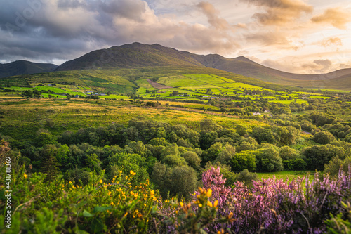 Beautiful sunset with dramatic sky at golden hour over the foothill of Carrauntoohil mountain, MacGillycuddys Reeks mountains, Ring of Kerry, Ireland photo