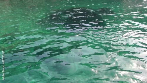 Wallpaper Mural View of the rippled seawater as navigating. Torontodigital.ca