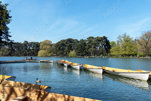 Parisians boating on the lower lake in the Bois de Boulogne on a sunny day of April. photo