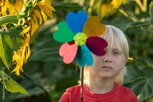 Blond boy walks in sunflower field and holds windmill toy in his hands