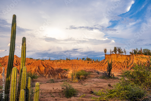 Desert Tatacoa - Desierto de la Tatacoa, Colombia. Amazing dry landcscape strewn with cacti during sunset, dramatic cloudy skies. Dry tropical forest. Parque Nacional Natural Los Nevados, Villavieja © Zuzana