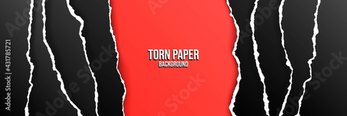 Vector illustration. Torn paper effect. Vibrant red color. Decorative minimalist concept. Striped panoramic wallpaper. Design for web template, website banner. Cut paper on transparent background