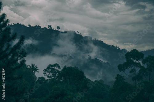 clouds in the mountains and rainforest 