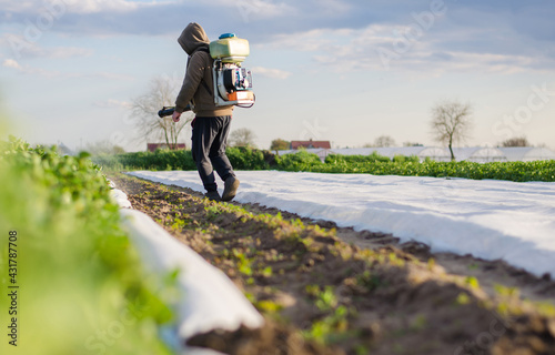 A farmer processes a field of potatoes from a mist sprayer. Protecting crops from pests and fungal infections. Control over the use of toxic chemicals when growing food. Crop resistance to pests. photo