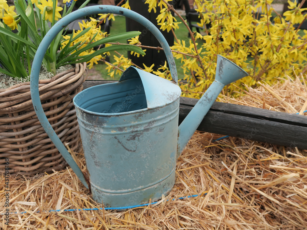 Metal watering can for watering flowers in the hay. Metal watering can for watering flowers in the hay.