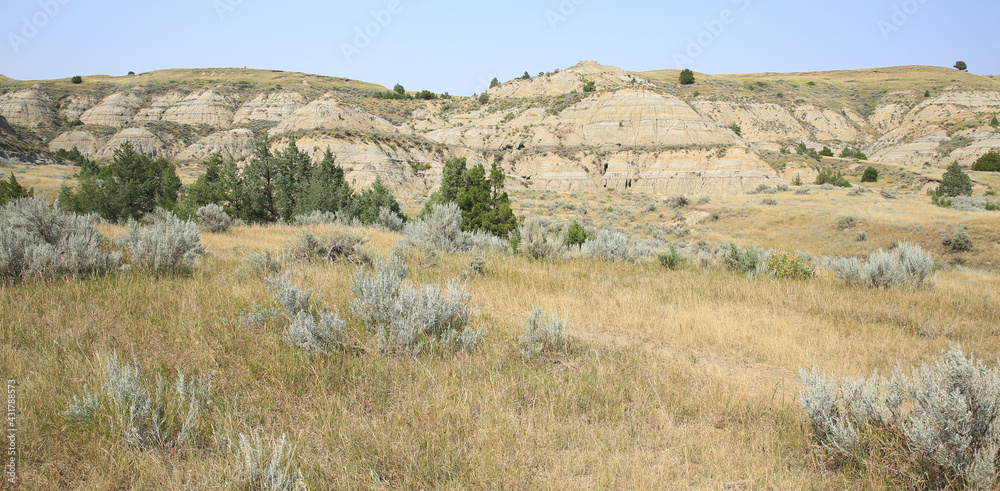 Theodore Roosevelt National Park in North Dakota, USA