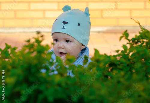 Portrait of a child in a hat that looks like a bear cub sitting behind a bright green bush. A happy childhood in the fresh air. Eco-friendly, natural parenting