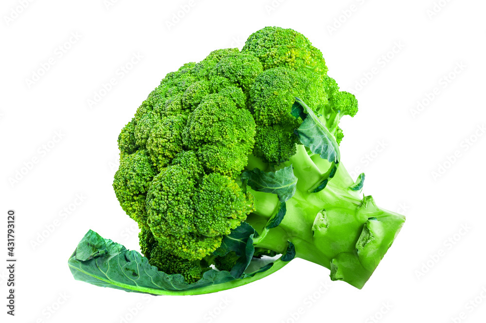 Large raw fresh head of broccoli cabbage on white background, healthy vegetarian food, isolated, close-up Large raw fresh head of broccoli cabbage on white background, healthy vegetarian food, isolated, close-up