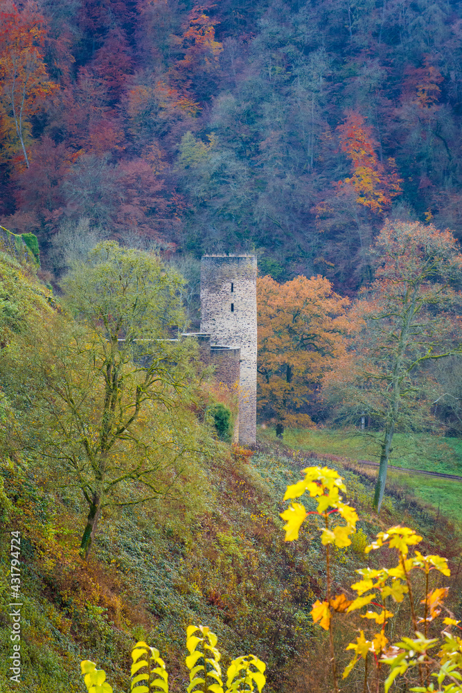 Naklejka premium Burg Eltz