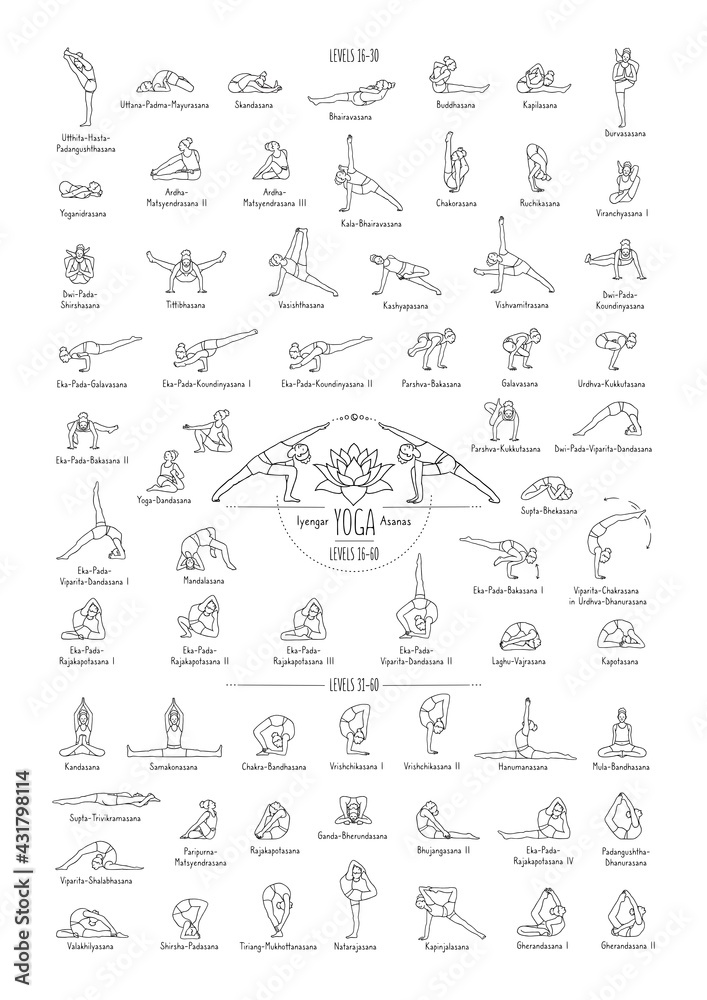 Hand drawn poster of hatha yoga poses and their names, Iyengar yoga asanas  difficulty levels 16-60 Stock Vector
