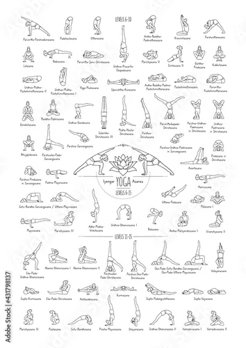 Fototapeta Hand drawn poster of hatha yoga poses and their names, Iyengar yoga asanas difficulty levels 6-15