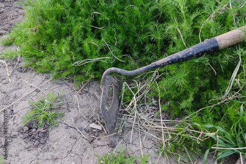 Gardening Tools. Close-up of a hoe. Weeds. A portable hoe for loosening and planting flowers. Garden care.