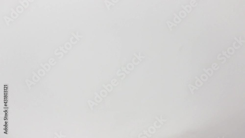 Caucasian woman's hand offers a fan of Argentine money in close-up with white background, from the low center of the frame