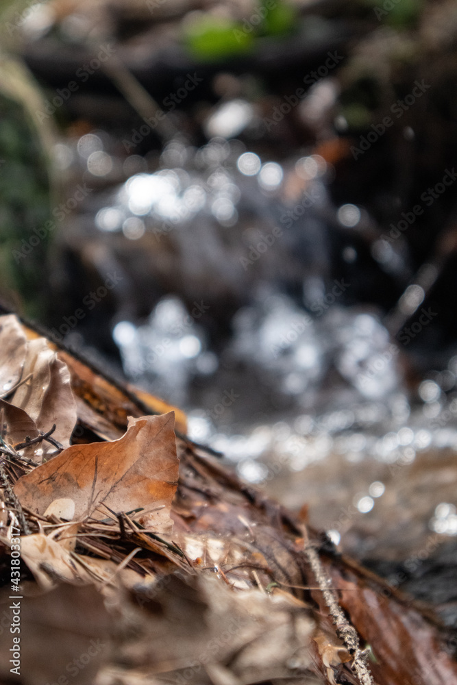 Unsharp view to small forest stream with a waterfall Unsharp view to small forest stream with a waterfall
