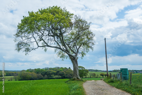 A walk around Rainford and Crank