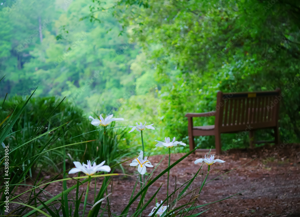 bench in the park bench in the park