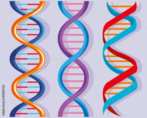 three dna molecules