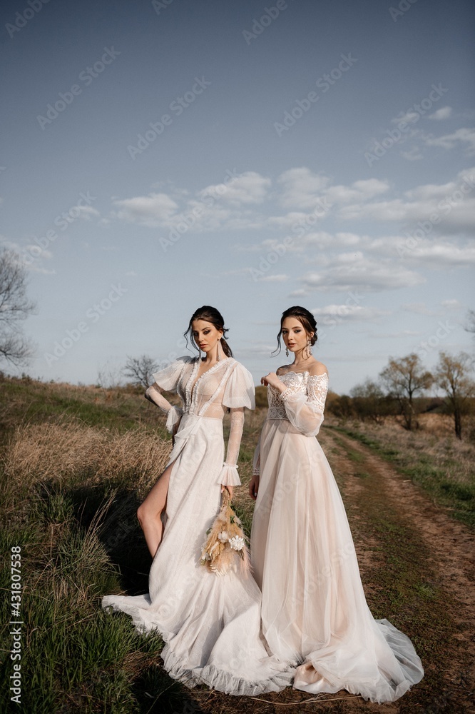 Two beautiful brides in a light dress posing. Boho style.