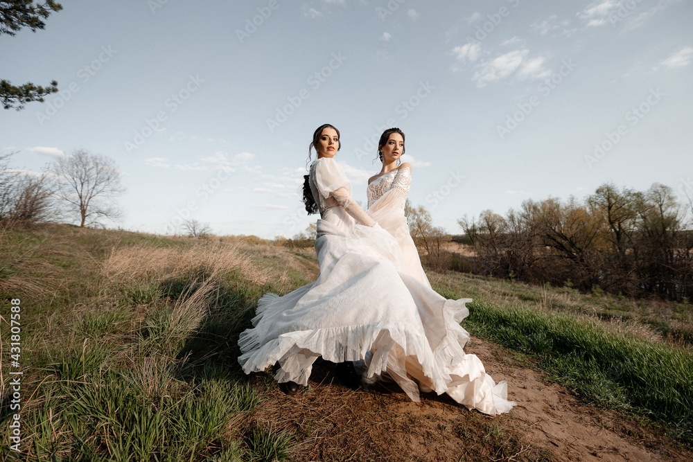 Two beautiful brides in a light dress posing. Boho style. Two beautiful brides in a light dress posing. Boho style.