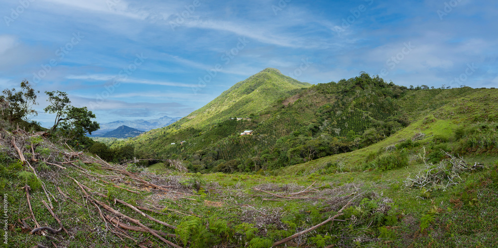 montaña, cerro la Jacoba, La Unión, Nariño, Colombia