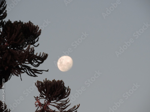 Moon dark night black white