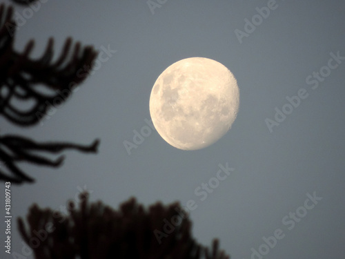 Moon dark night black white