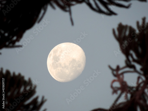 Moon dark night black white