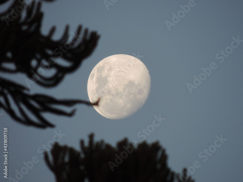 Moon dark night black white