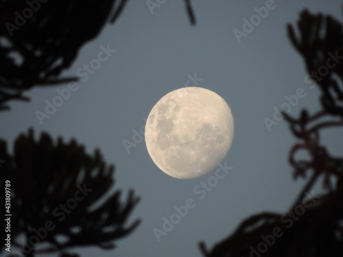 Moon dark night black white