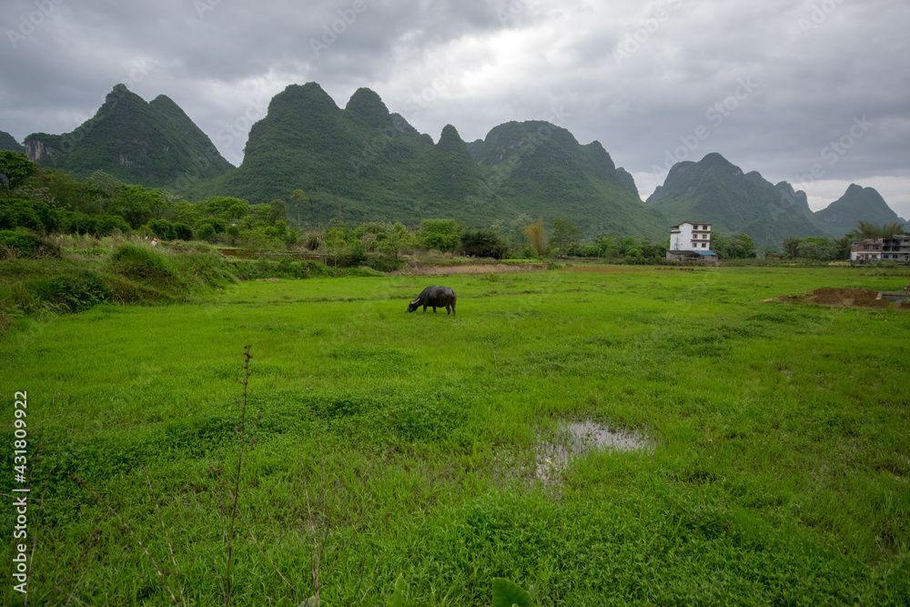 Karst Landscape in China