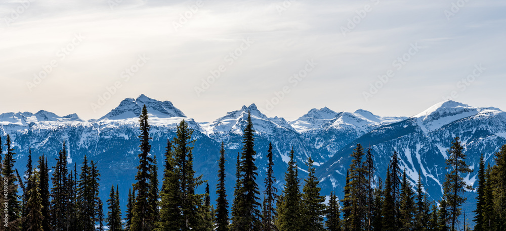 trees in front of Beautiful snow-capped Columbia Mountains against the blue sky in British Columbia Canada