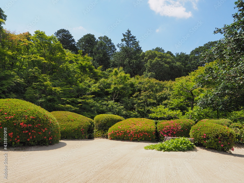 つつじの咲く日本庭園