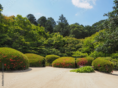つつじの咲く日本庭園