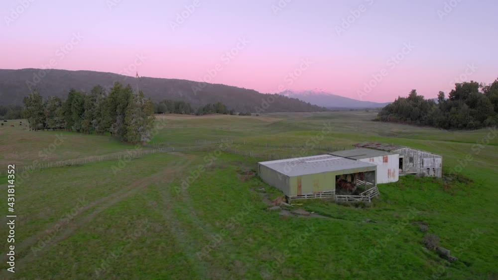 Farmland in central north island with Mt Ruapehu in the background Farmland in central north island with Mt Ruapehu in the background