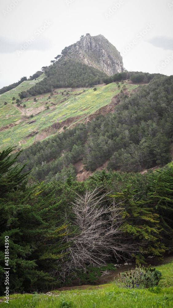 Fototapeta premium Porto Santo is a Portuguese island 43 kilometres northeast of Madeira Island in the North Atlantic Ocean.