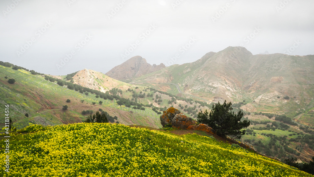 Fototapeta premium Porto Santo is a Portuguese island 43 kilometres northeast of Madeira Island in the North Atlantic Ocean.